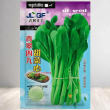 速生25天四季菜心种子广东四九甜脆菜心耐热油青耐高温农家青菜苔