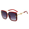 Fashionable trend brand sunglasses, retro glasses solar-powered, city style, European style