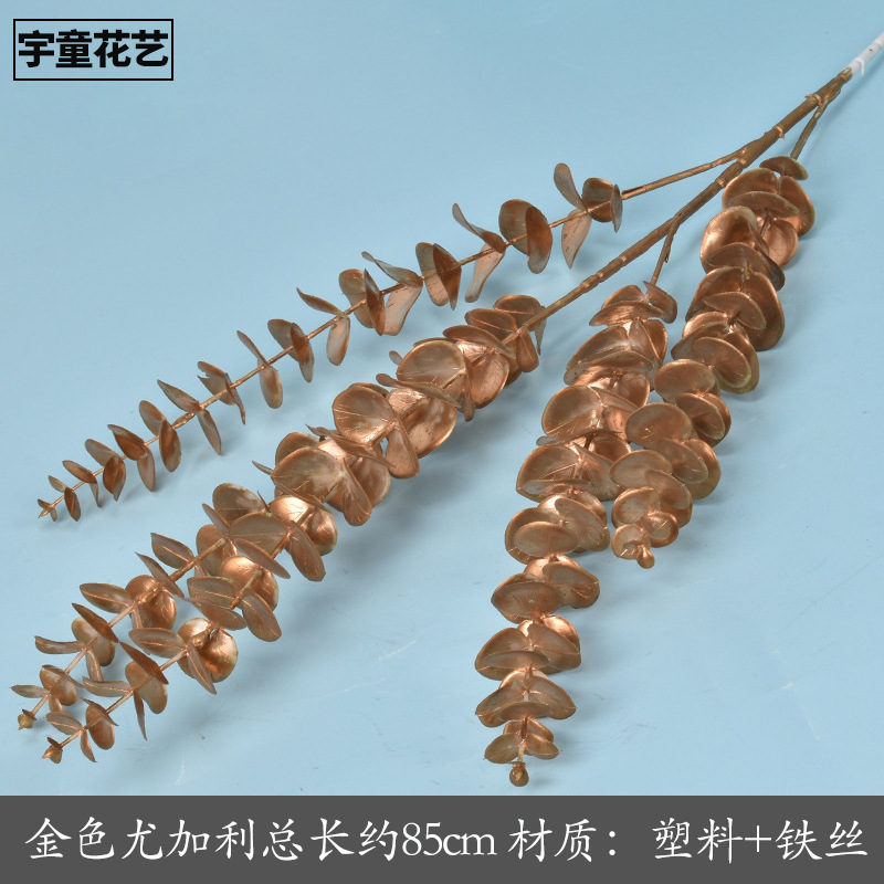 5 포크 유칼립투스