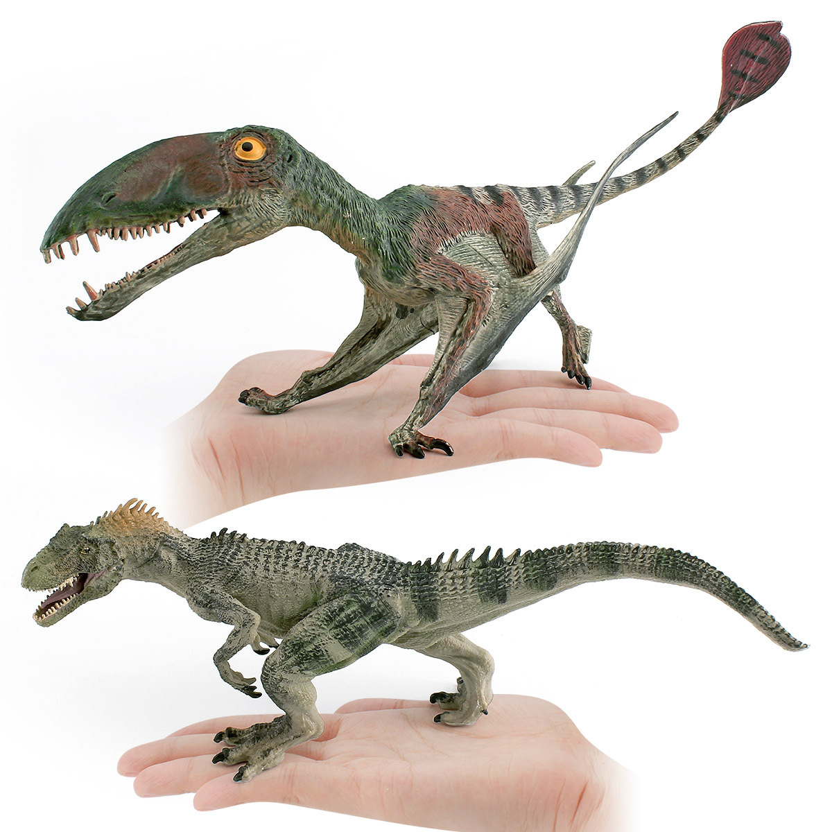 Simulación transfronteriza modelo de dinosaurio Jurásico Dragón Volador Fengshen pterosaurus Allosaurus juguete de decoración estática