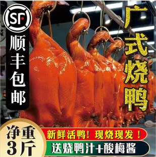 ���ڏV�|������ֻ3��/�Vʽ����/�V�|����/�V��/��������/��ʳ����