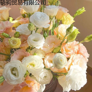 �����������ֱ�l��۹���đ���滨�r�л������r�����������