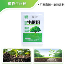 ���������ۘ�ľ������ֲ�������ľ�������ԷNֲ�������焩�l����