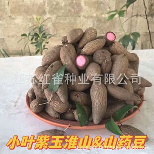 ���r��ɽș�N������ɽș���L�lɽș�N�罭��С�~��ɫɽș������