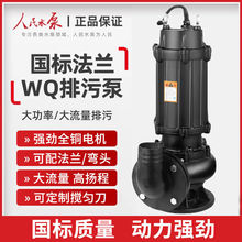 上海人民国标污水泵潜水排污泵家用单相潜水泵大流量排污水泵380V
