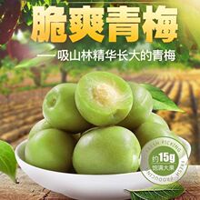 脆青梅青口梅小包装酸脆梅子爽口梅新鲜果脯特产蜜饯果干零食小吃