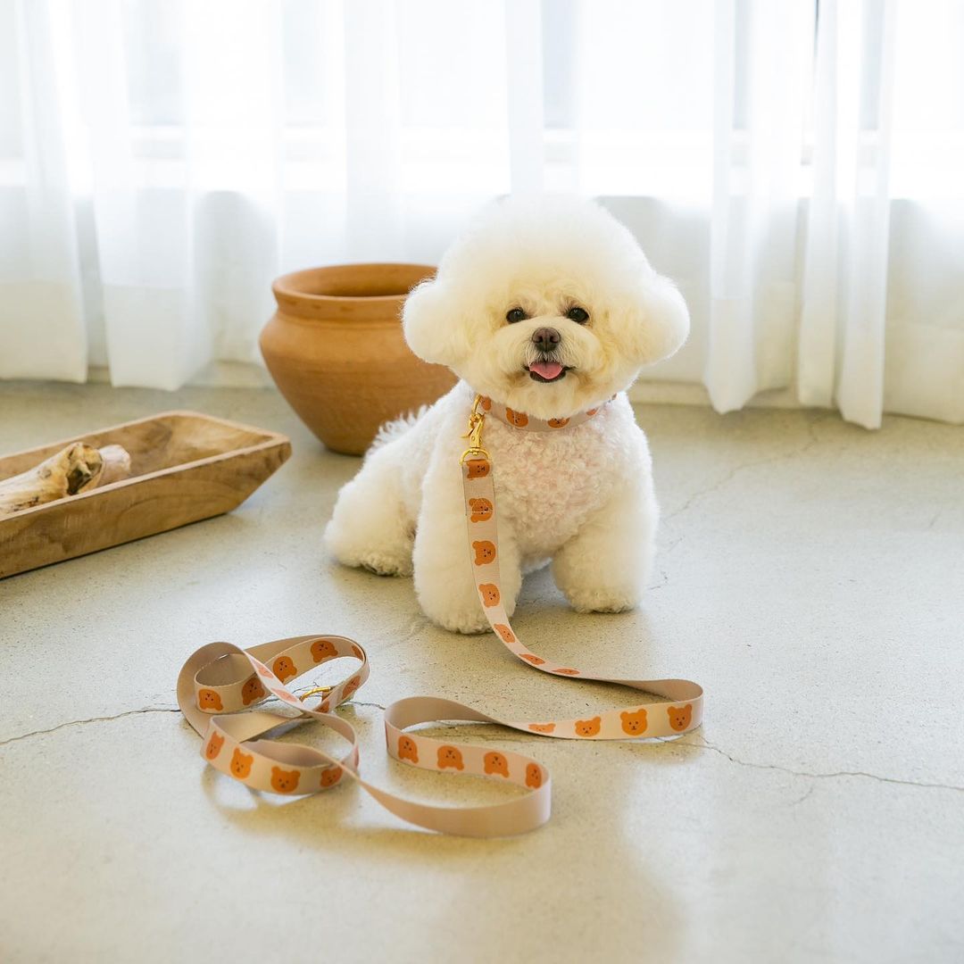 ins new Korean dog pet bear cute traction soft and durable can be picked up toilet bag traction rope dog walking