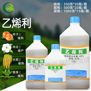 �Ϻ��w���ϩ��40%��ϩ�������޻������㽶���Ѵ����{����