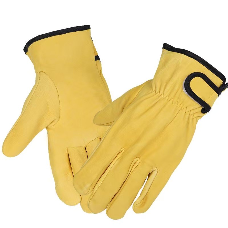 Amarillo dorado