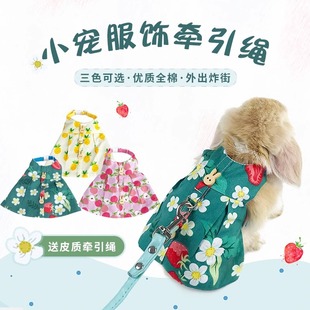 Radish Valley Pet Rabbit clothes traction rope rabbit cat anti-break rural fresh rabbit walking rope outing clothing