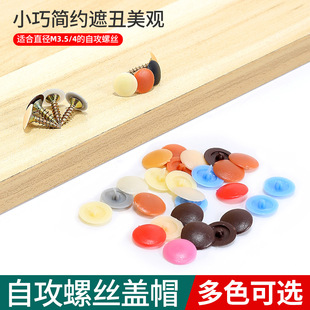 Self-Tapping Screws, Cross-Head Cap Screws, Furniture Hardware Accessories, Plastic Hole Plugs, Cabinet Cover-Up Tool