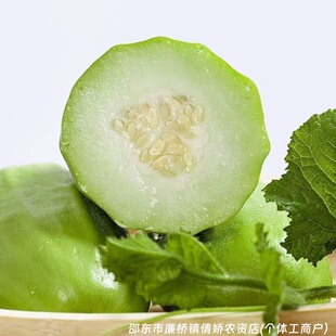 �����ϷN�Ӵ�ȫ�˹ϟ����S�Ӵ��߲˷N��ԭ�b�N�Ӵ�ȫ���l���l