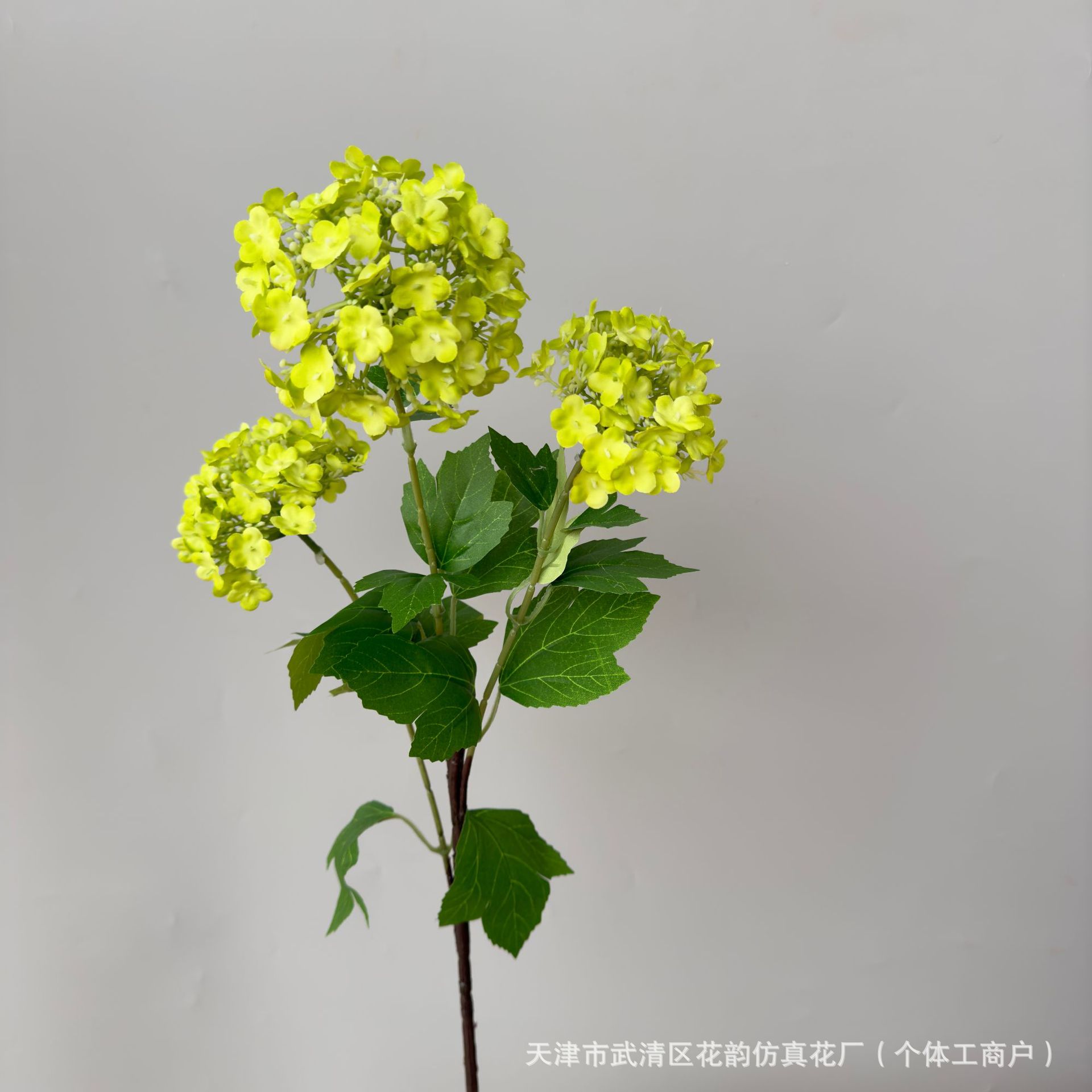 황록색