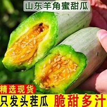 羊角蜜瓜头茬蜜甜瓜现摘脆水果批发新鲜孕妇应季瓜整箱哈蜜瓜香瓜