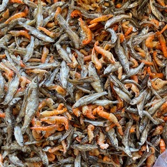淡水無塩小魚小海老混合小魚小海老特産小河魚海老不苦小魚乾燥
