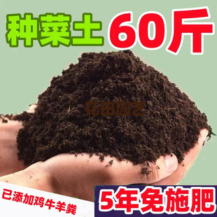 50�����I�B���B���Gֲͨ���ͷ��������N�˼����ЙC���໨��