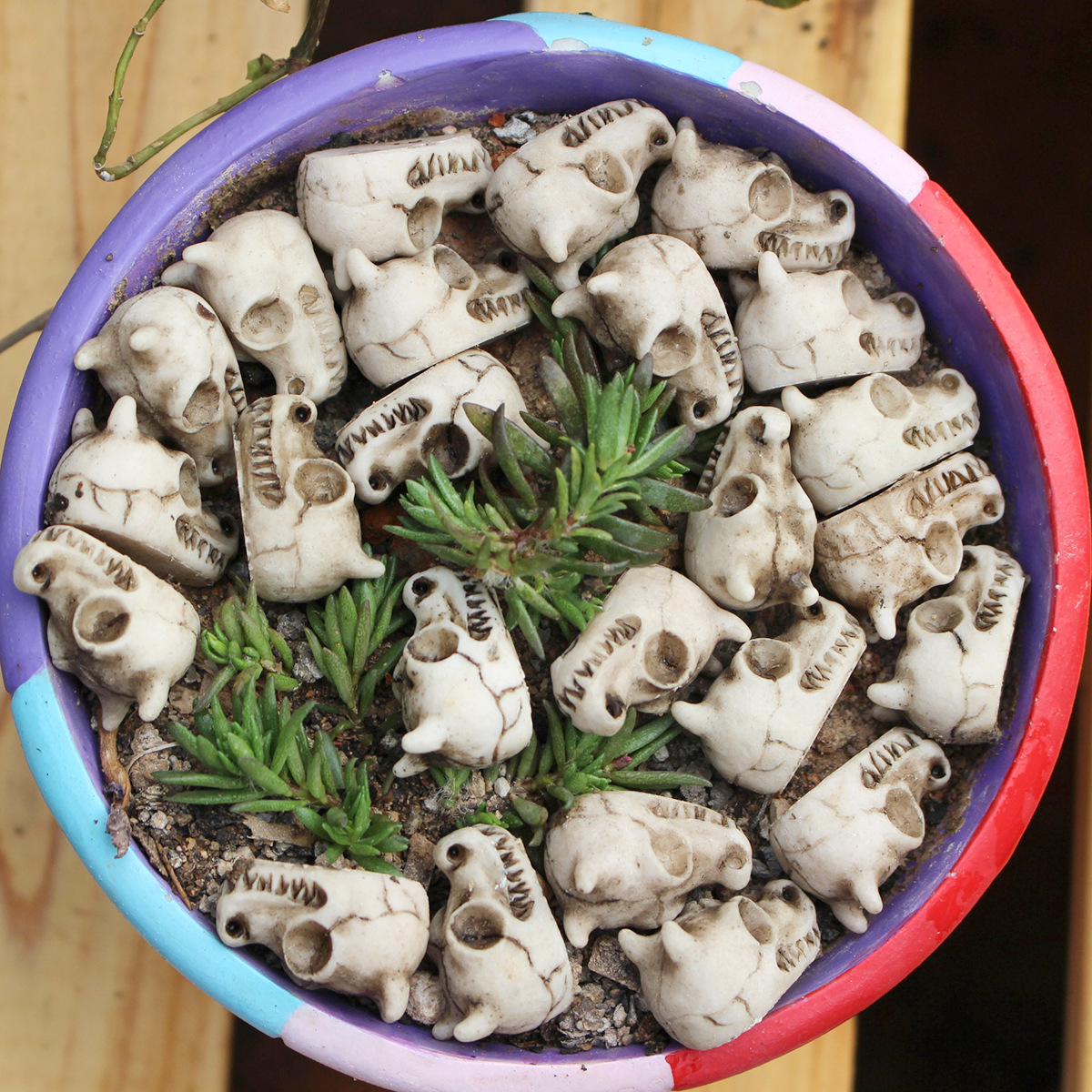  Artificial Dragon Bone Flower Pot Skull Paving Stone Set Halloween Decoration Ghost Festival Atmosphere Ornaments