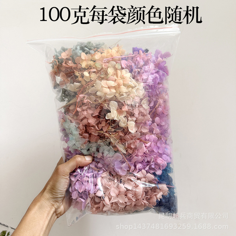 [Class B Anna Hydrangea] Wooden Hydrangea Clearing Goods Micro-flawed Accompanying Ceremony with Hydrangea Flower Wedding True Petals