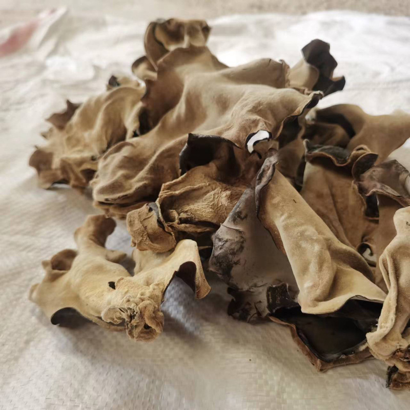 627e8173fc3de0306f41dd159e6183