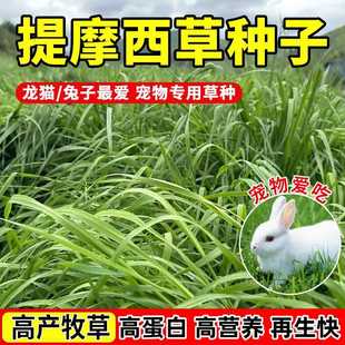 ��Ħ���ݷN���òݷN����؈β����������m�i���|�ݶ��������ݷN��