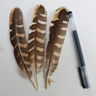 �S��ֱ�NҰ�uë��Ȼ��ë���u�C���Ʒdiy���ñ�ӷ��b�b���ë
