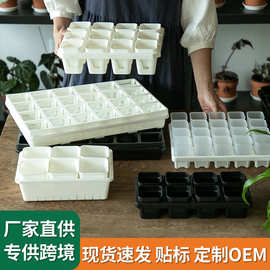 加厚小黑方接水盘叶插育苗塑料花盆托架托盘多肉播种盆底托多肉盆