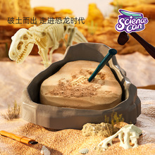 ��ѧ��ͷѧ����ͯ�ֹ�diy����������������ʯ�����ھ������Ů��