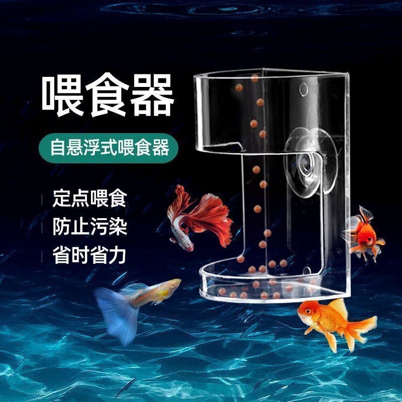 Fish Tank Feeder to Prevent Food from Drifting Away, Small Fish Food Feeder, Fish Feeding Ring, Sinking Transparent Feeder