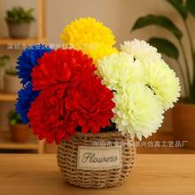 �羳���N9�^�f�۾ռٻ����� ��ˇ�b����[�����տ�õ��廨�҃�