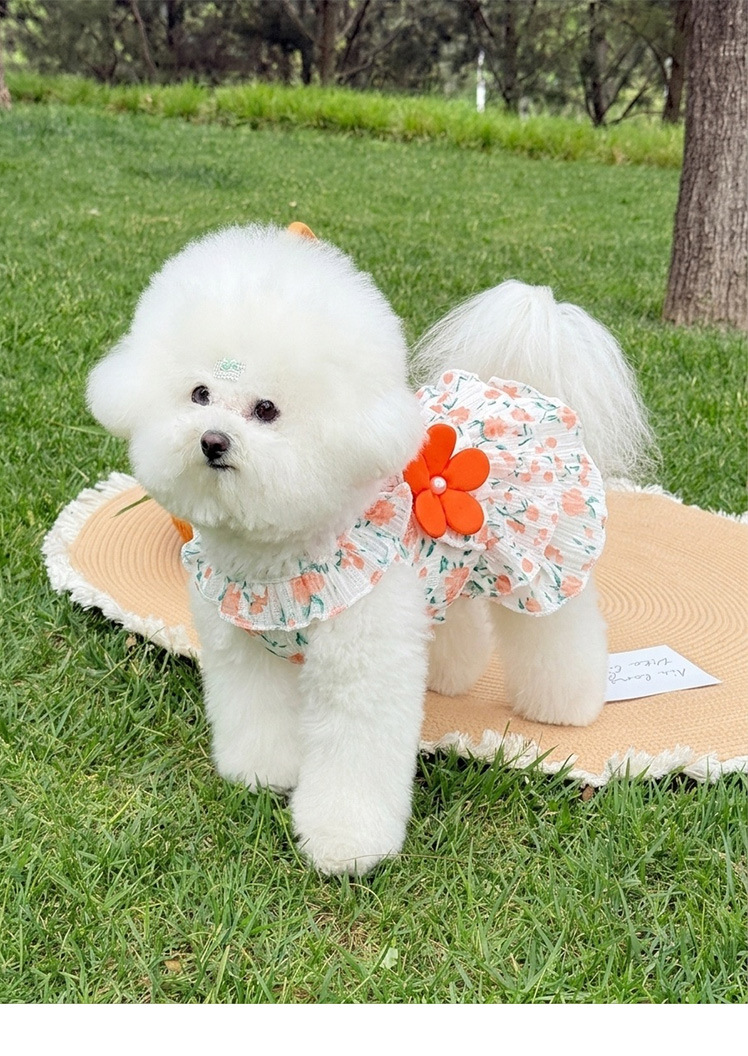 Robe plissée à fleurs style princesse pour chien et chat été_voghion.com