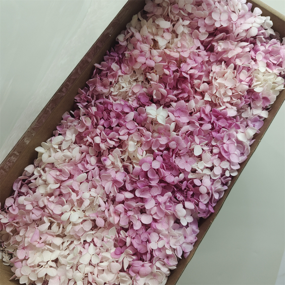 Flor eterna Hortensia Anna pequeña hoja flor seca flor real árbol de Navidad ventilador hecho a mano ramo DIY material paquete flor