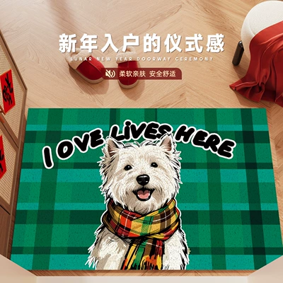 Avtomobil döşəmə paspasları – Cartoon Puppy Silk Loop Floor - i-love-here-4060cm-silk-circle