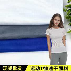 源头工厂小田布网眼布运动服面料透气T恤短袖提花双面针织速干布