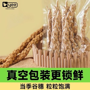 �W�^��Ȼ���뎧���S����С�����P��Ƥ����B�Z��Ƥ�����B��ʳ�羳