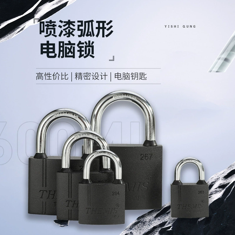 Навесные замки производитель дугообразной пружинной пружинной краски компьютерный ключ висячий замок