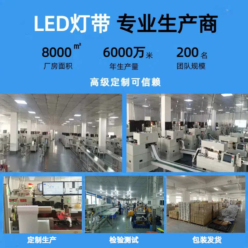 LED 네온 LED 라인 램프 내장 높은 전압 220V 램프 방수 모양 유연한 네온 분위기 램프