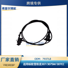 7937L8�m�Ø���ѩ�F��307��܇����l�әC���քӿ�������|����