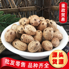 ���l��ș�� ���۹� �������۹� �ɹ�ɢ�b ���۹��ִ� ������ԭ��J