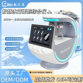 电子美容仪;护眼仪;其他美容仪器
