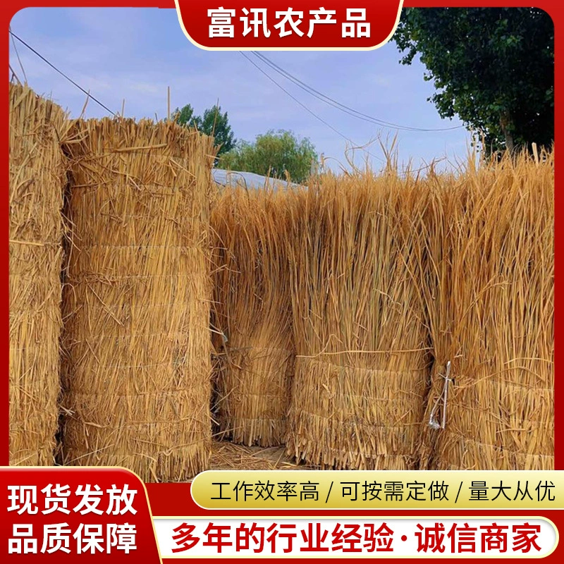 Травяные занавески Зимние теплые овощные сараи Травяные занавески садовые озеленения Травяные занавески