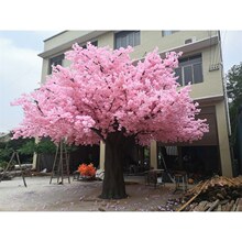 ���ͷ���䲣���w�S����������L���^�[����Ӱҕ���ߴ��S