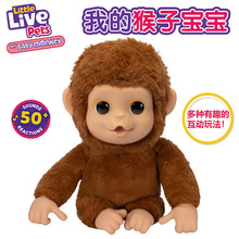 little live pets爱宠溜溜乐仿真玩具我的猴子宝宝会动会说话
