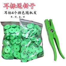 ���ö���̖���i���ֶ����ƶ�̖������Î��ֲ���ɫ����ӛ̖����