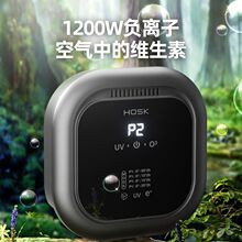 臭氧家用空气净化器除甲醛除异味卫生间厕所宠物除臭神器复合滤网