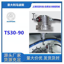 ������R��˹MARPOSS�R��˹TS30-90Ӳ�����|�lʽ����ϵ�y