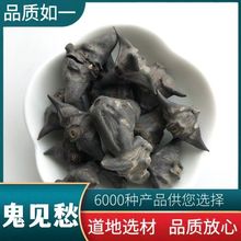 ��Ҋ�� ��ș�����l ��ǚ� ����� �Ƀ��o�s ֧��ș�z ��ĥ��