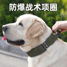 狗脖圈狗狗项圈颈圈宠物中型犬大型犬链子牵引绳遛狗绳子金毛德牧