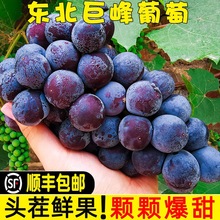 �|���޷��������rˮ���ͶY�W�t�ЋDˮ���������b�����ЋD���]���l