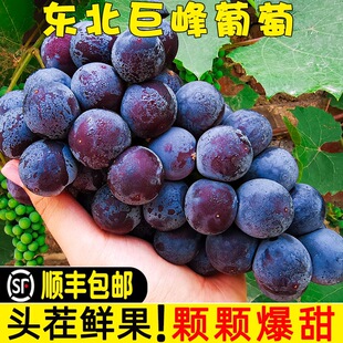 �|���޷��������rˮ���ͶY�W�t�ЋDˮ���������b�����ЋD���]���l