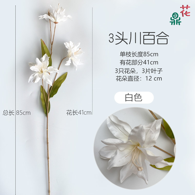 3 헤드 사천 릴리 화이트